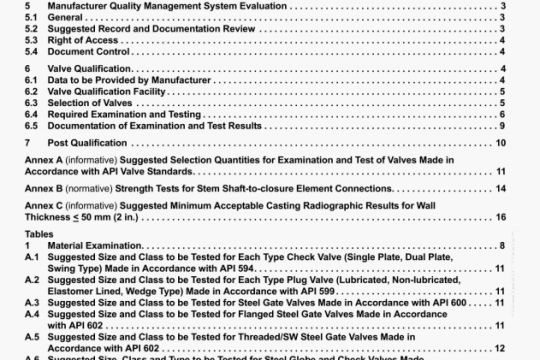 API RP 591:2008 pdf download